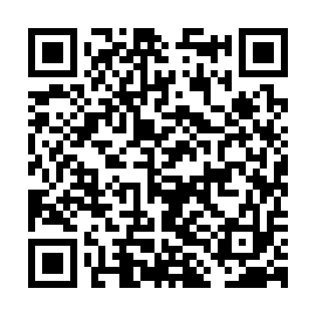 QR code for FLI313