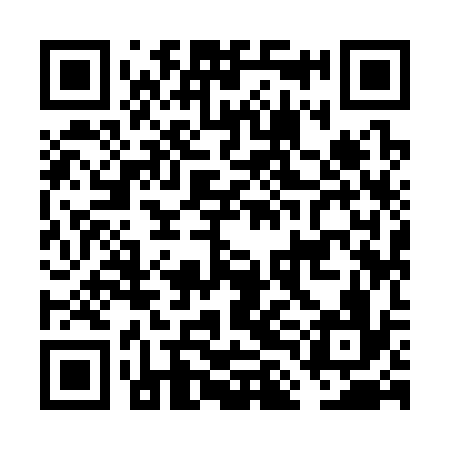 QR code for FLI336