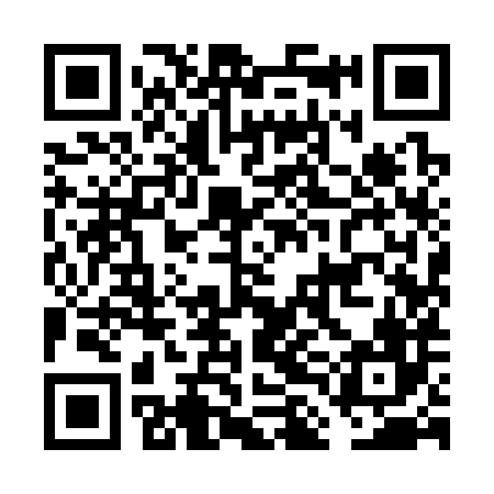 QR code for FLI386