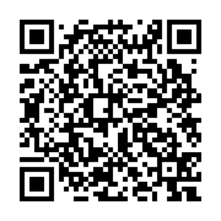 QR code for FLR335