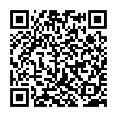 QR code for FLS399