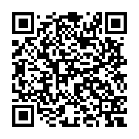 QR code for FLS533
