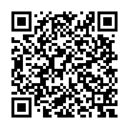 QR code for FLS551