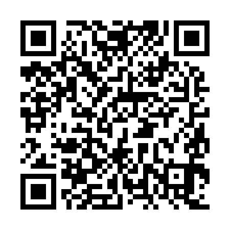 QR code for FLS991