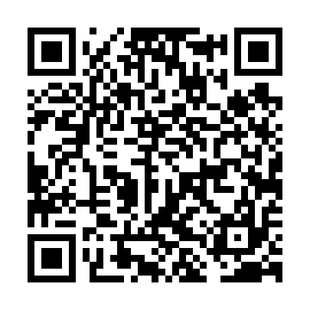 QR code for FLT617