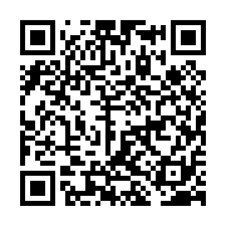 QR code for FLU011