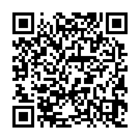 QR code for FLU333