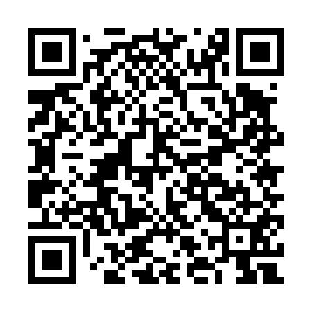 QR code for FLU451