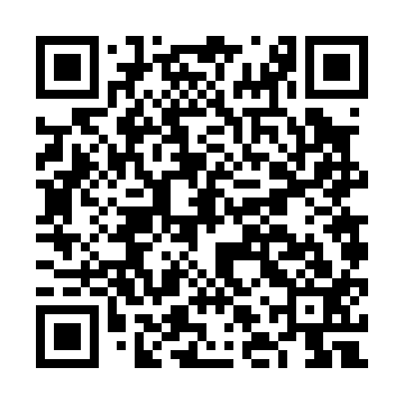 QR code for FLV013