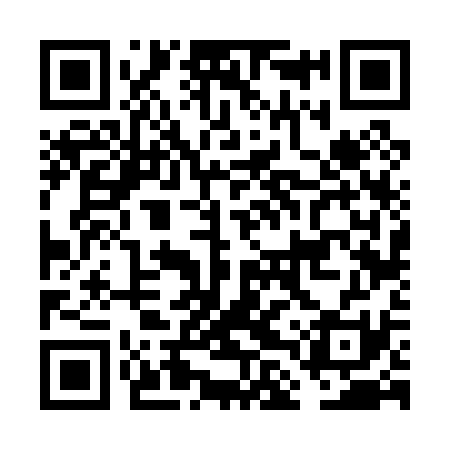 QR code for FLV031