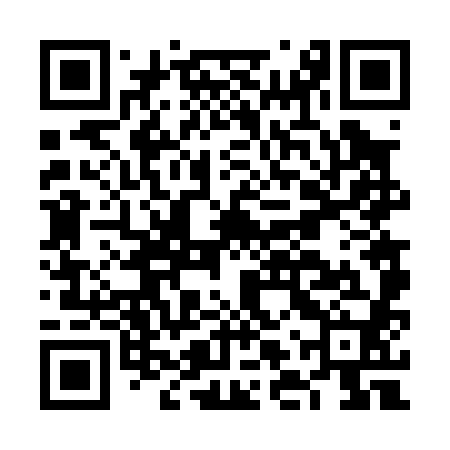 QR code for FLV080