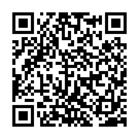 QR code for FLV233