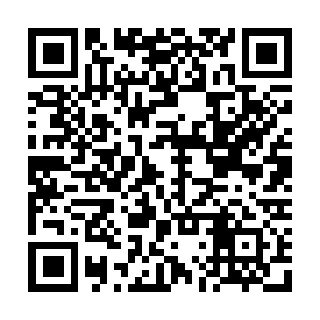 QR code for FLV331