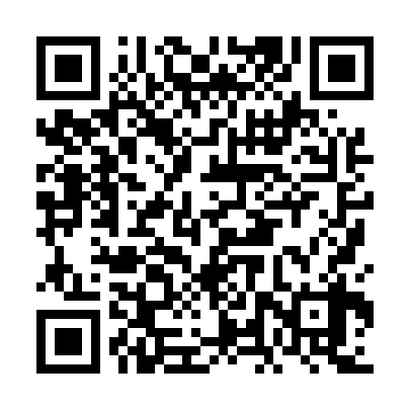 QR code for FLX538