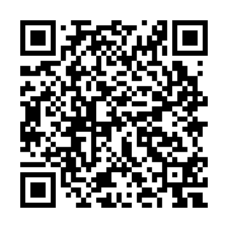 QR code for FLY310