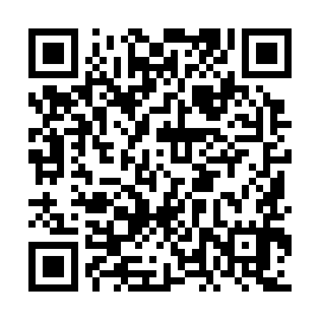 QR code for FLY395
