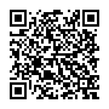 QR code for FMH533