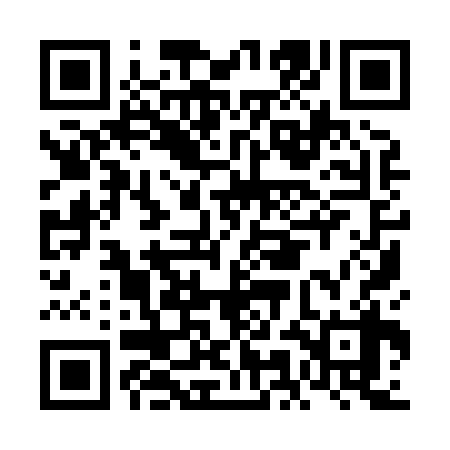 QR code for FMI838