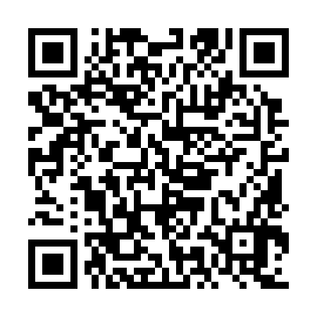 QR code for FMM386