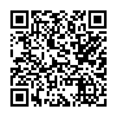 QR code for FMT295