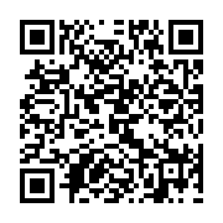 QR code for FNI399
