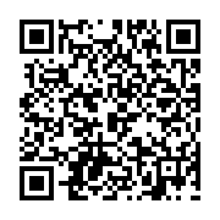 QR code for FNM336