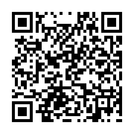QR code for FNM397