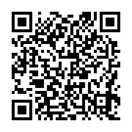 QR code for FNX379