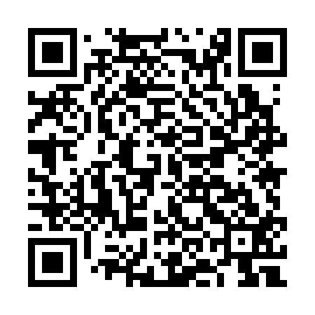 QR code for FOM313