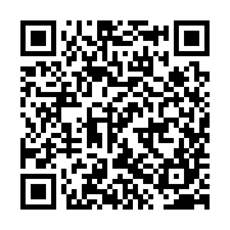 QR code for FPI384