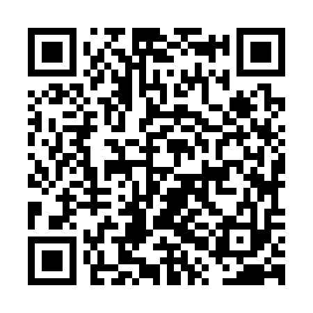 QR code for FPJ313