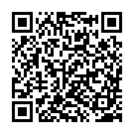 QR code for FPJ383