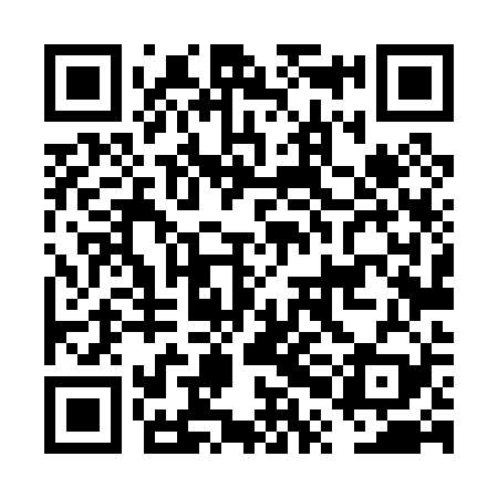 QR code for FPL029