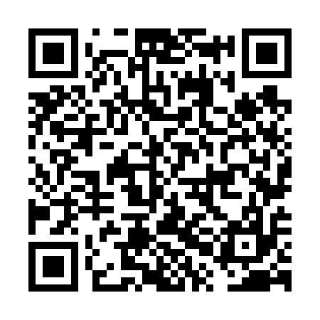 QR code for FPN617