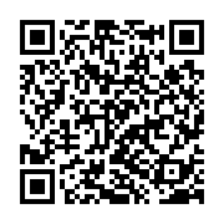 QR code for FPN739