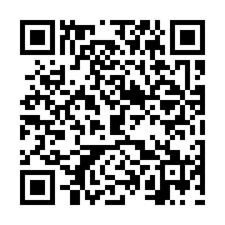 QR code for FPT161