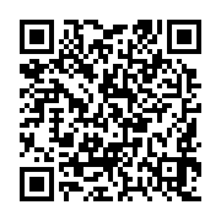 QR code for FRI393