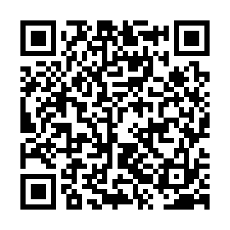 QR code for FRO333
