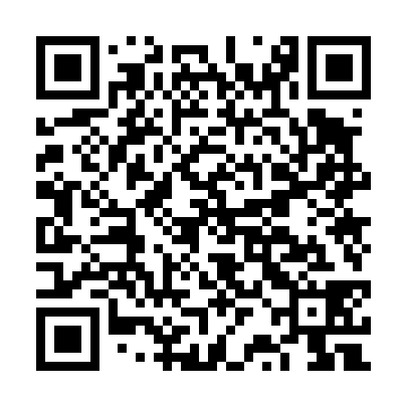 QR code for FRO438