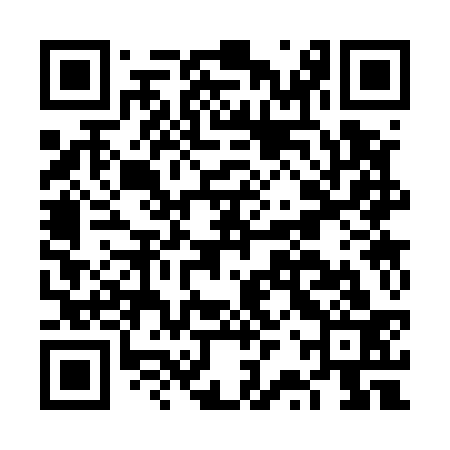 QR code for FRS533