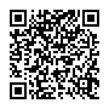 QR code for FSD336