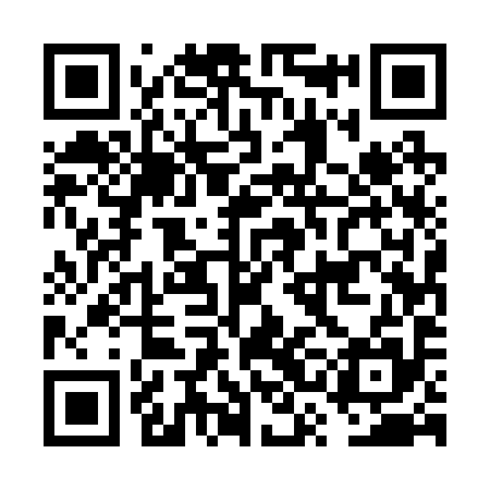 QR code for FSE295