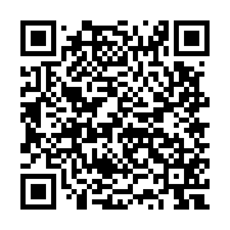 QR code for FSE555