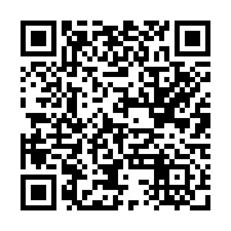 QR code for FSF313