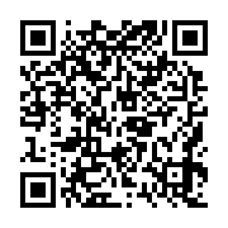 QR code for FSI379