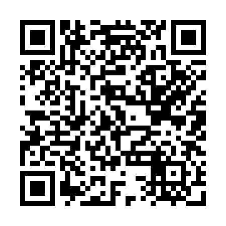 QR code for FSI382