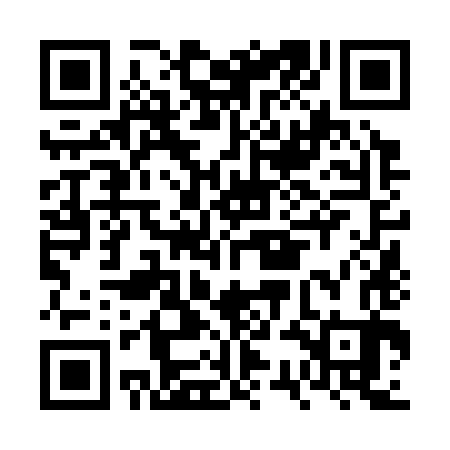 QR code for FSN383