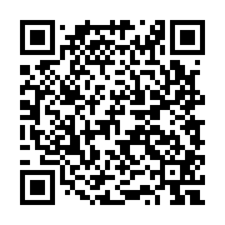 QR code for FST101