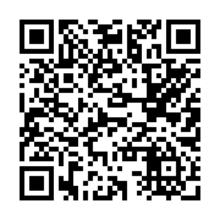 QR code for FST295