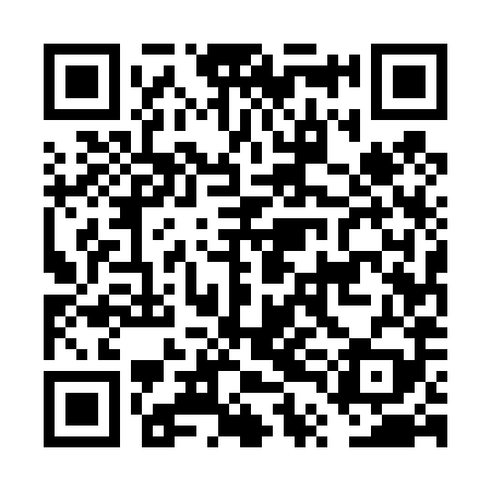 QR code for FTE489
